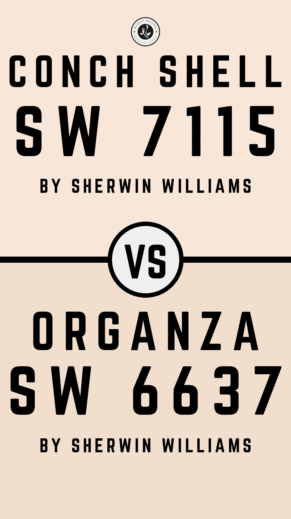 Conch Shell SW 7115 vs Organza SW 6637