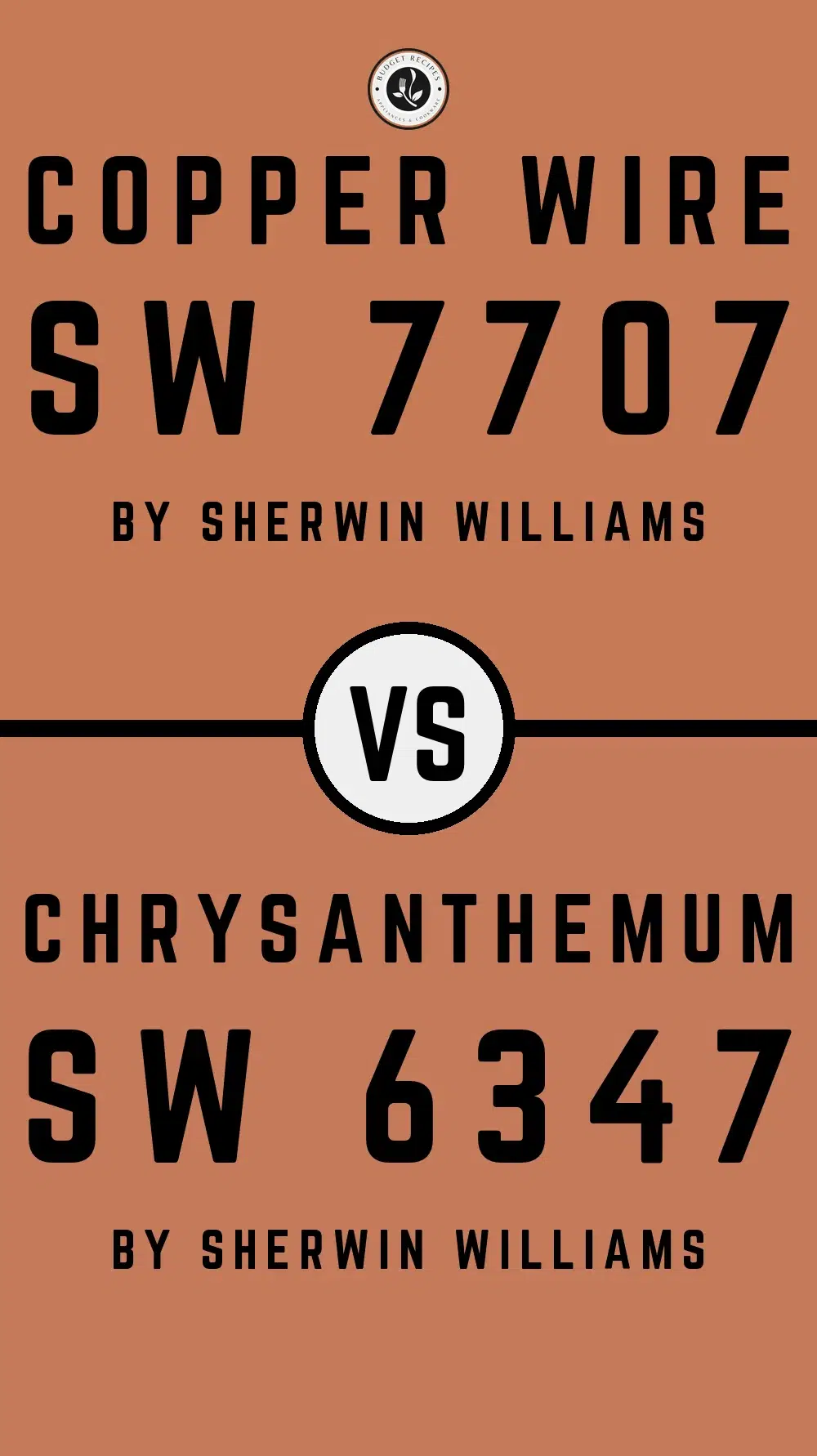 Copper Wire SW 7707 vs Chrysanthemum SW 6347