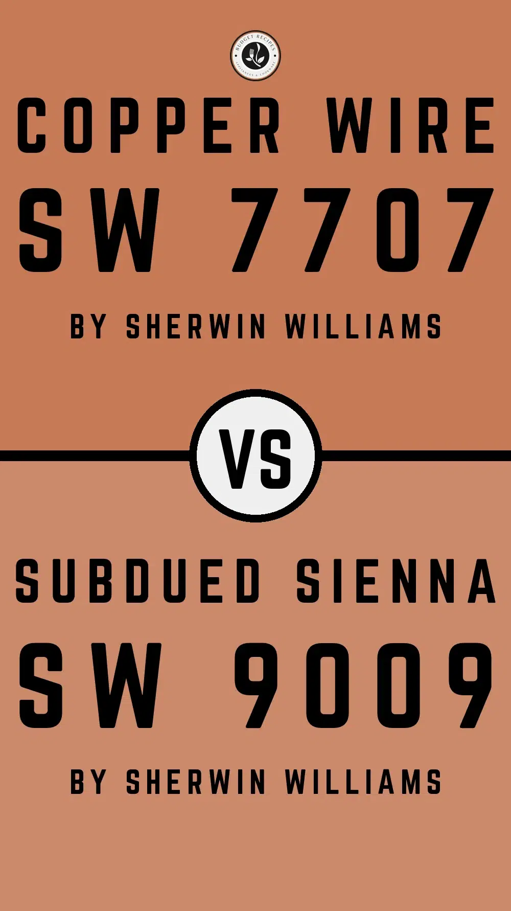 Copper Wire SW 7707 vs Subdued Sienna SW 9009