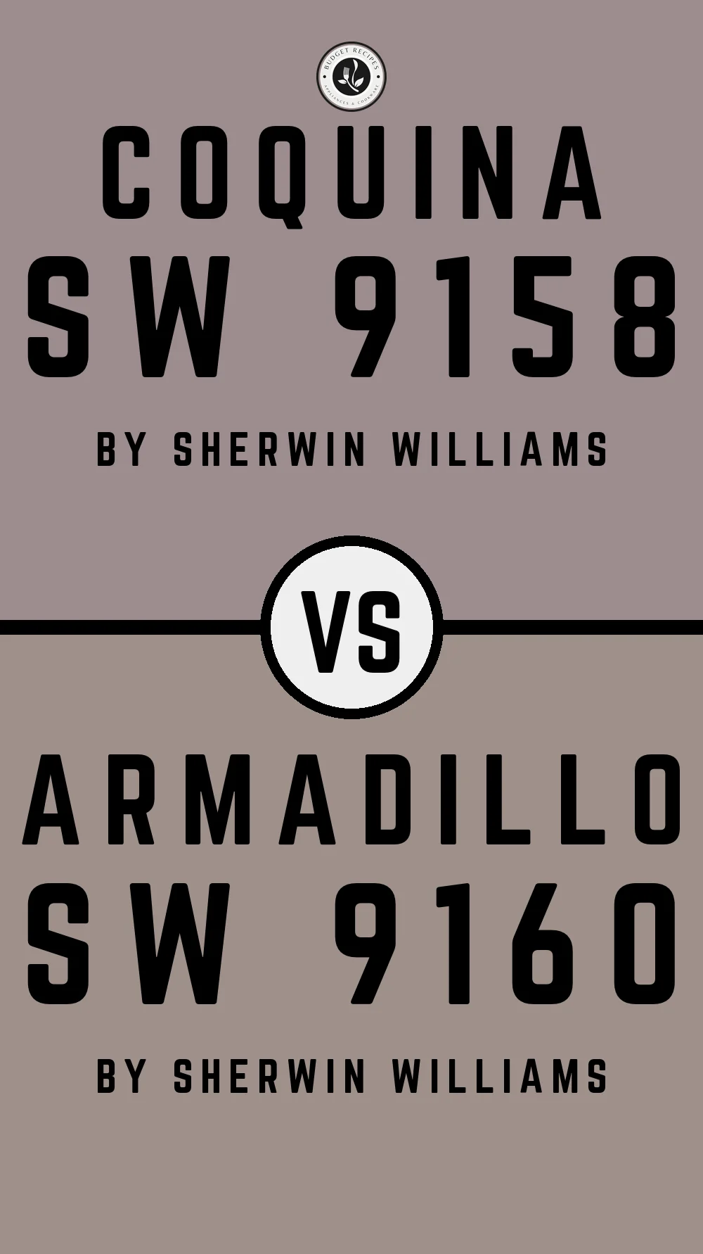 Coquina SW 9158 vs Armadillo SW 9160