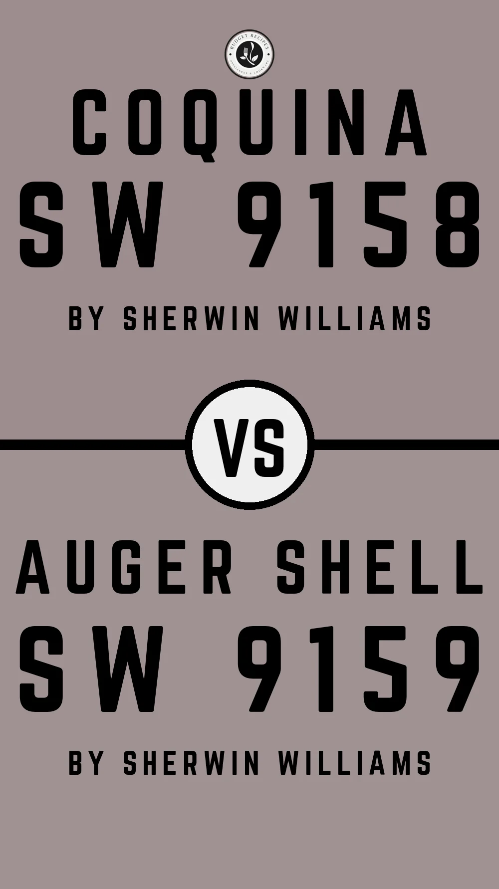 Coquina SW 9158 vs Auger Shell SW 9159