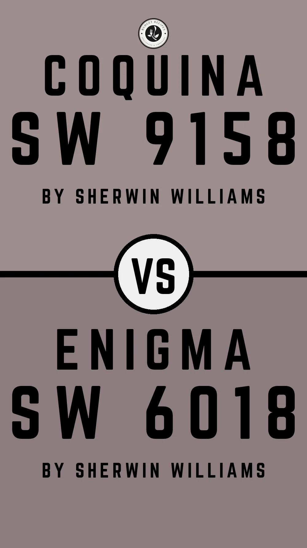 Coquina SW 9158 vs Enigma SW 6018
