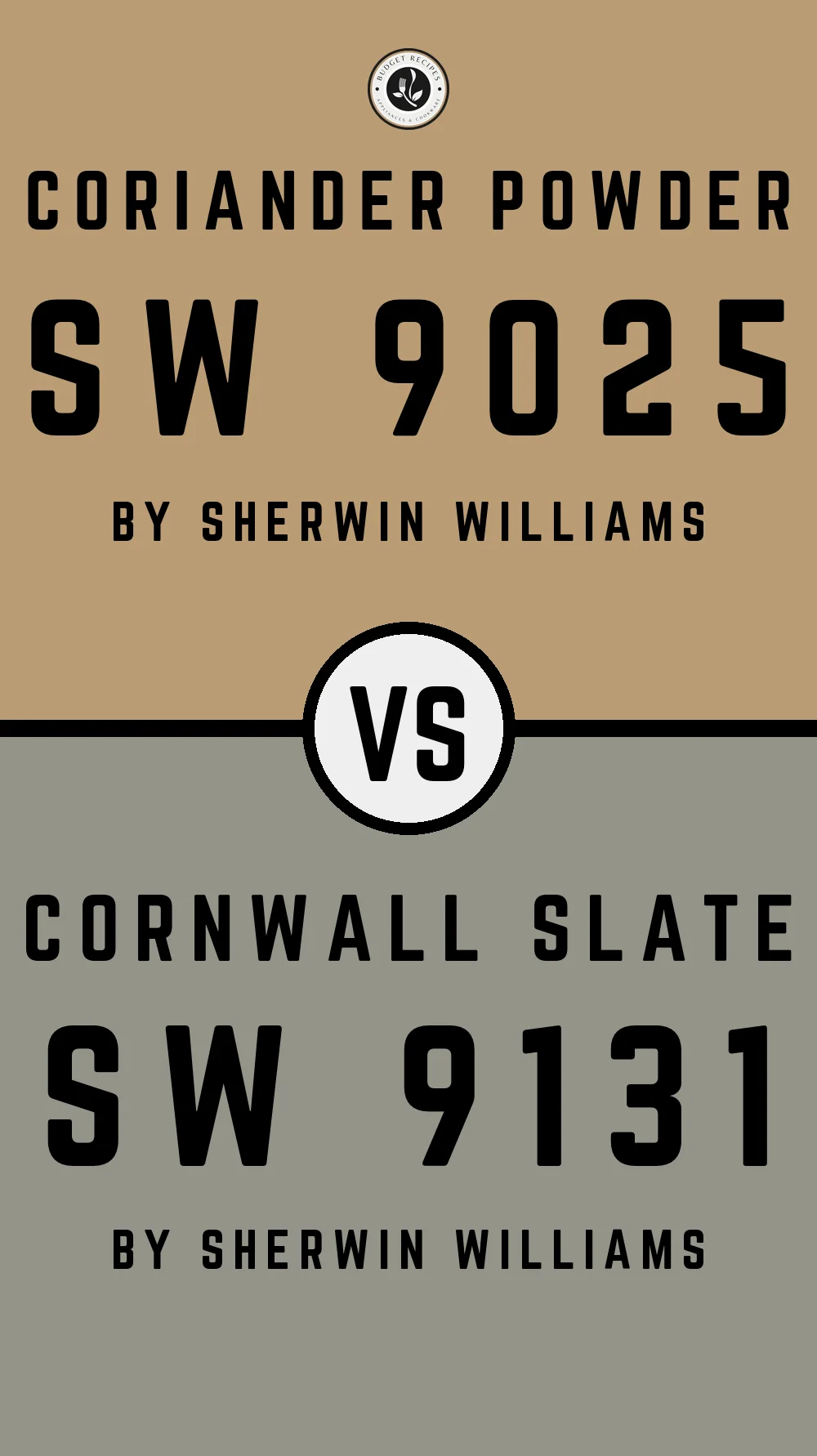 Coriander Powder SW 9025 vs Cornwall Slate SW 9131
