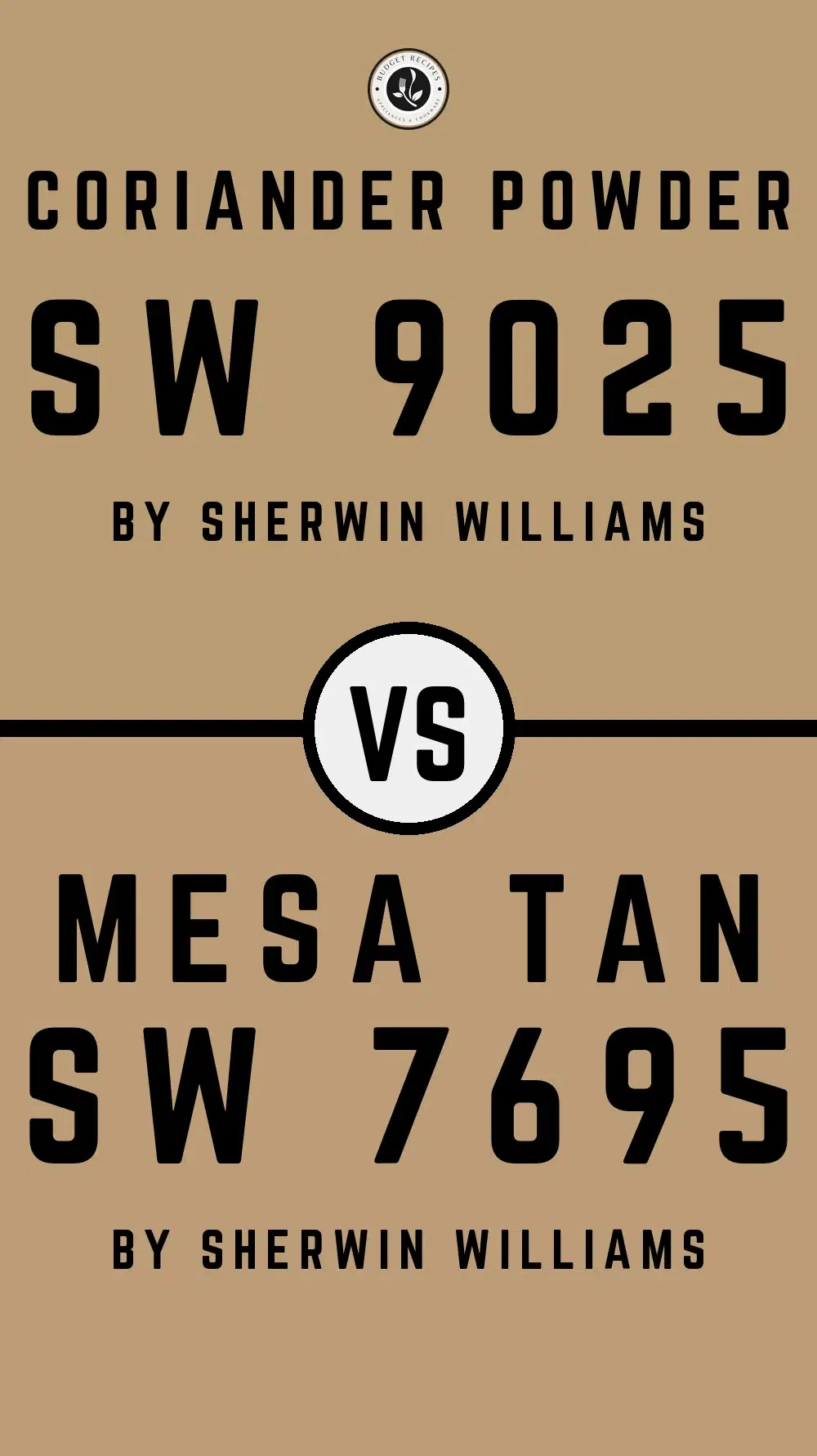 Coriander Powder SW 9025 vs Mesa Tan SW 7695
