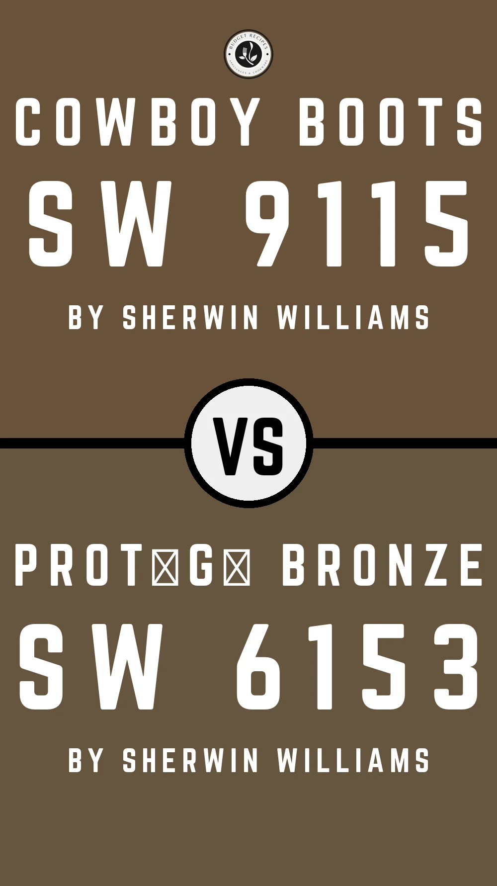 Cowboy Boots SW 9115 vs Protégé Bronze SW 6153