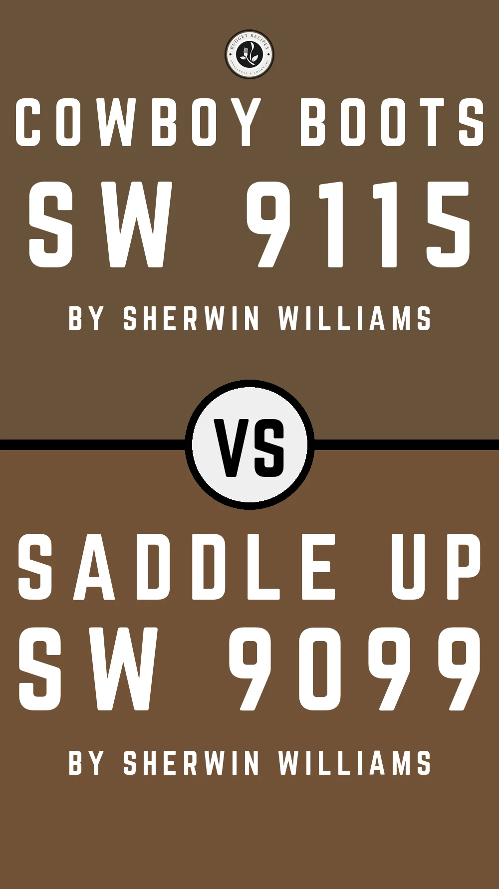 Cowboy Boots SW 9115 vs Saddle Up SW 9099