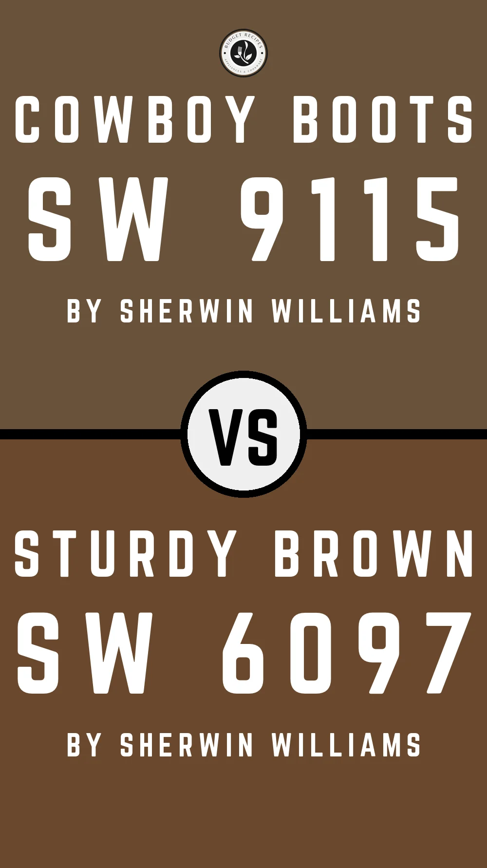 Cowboy Boots SW 9115 vs Sturdy Brown SW 6097
