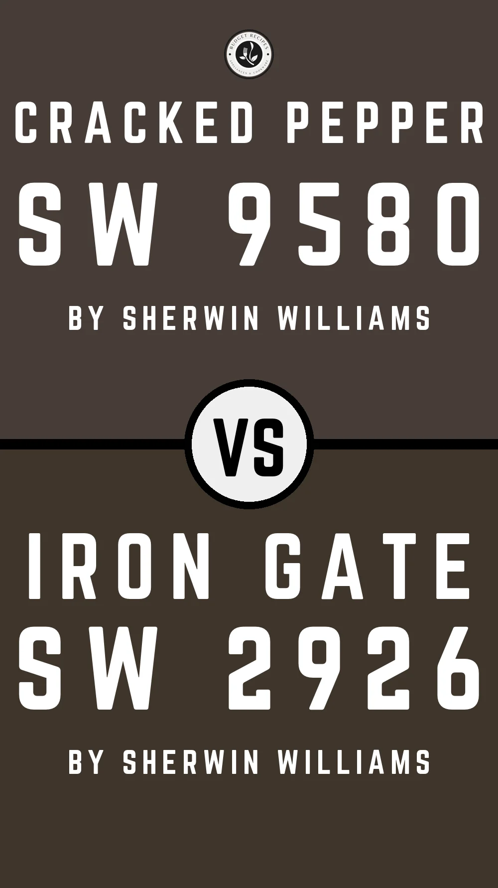 Cracked Pepper SW 9580 vs Iron Gate SW 2926
