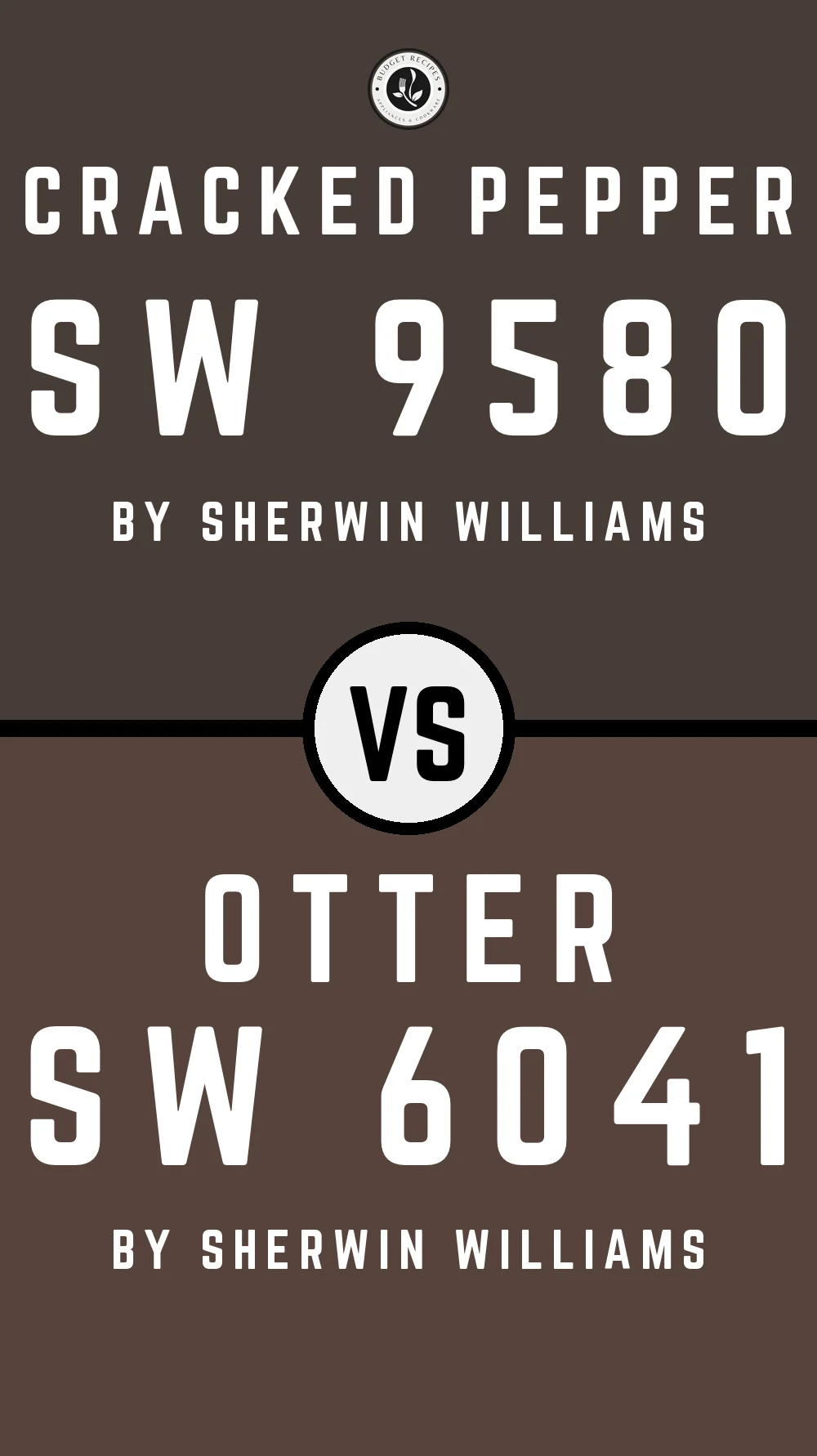 Cracked Pepper SW 9580 vs Otter SW 6041