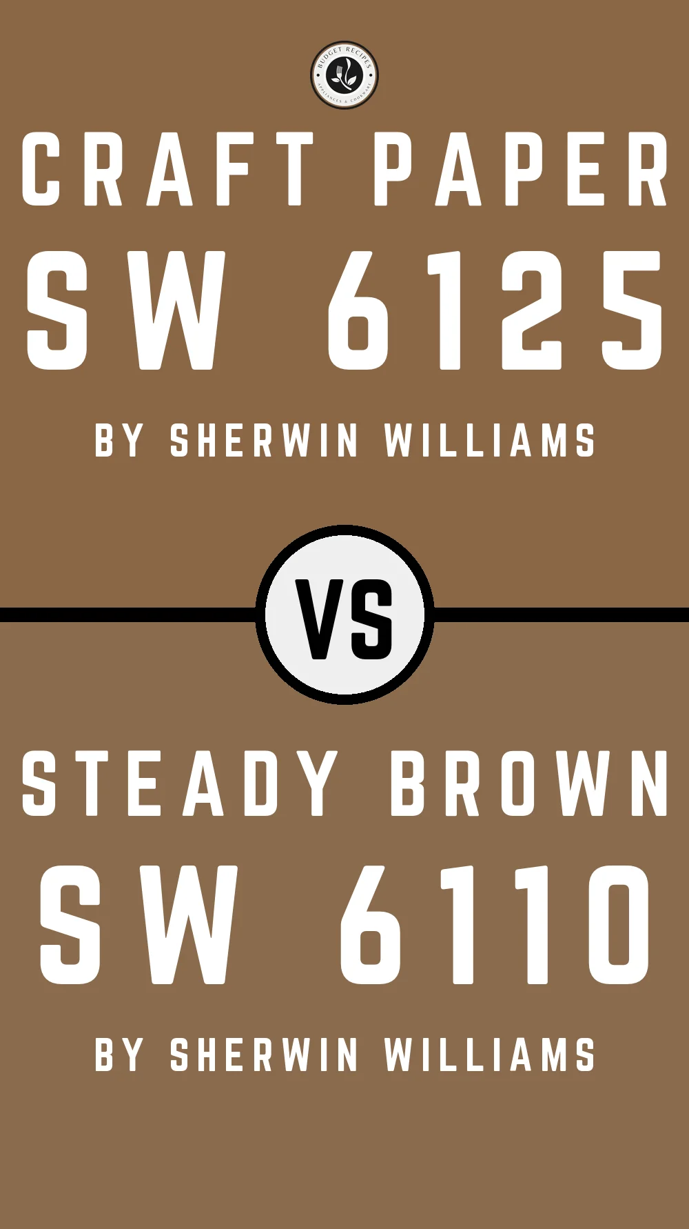 Craft Paper SW 6125 vs Steady Brown SW 6110