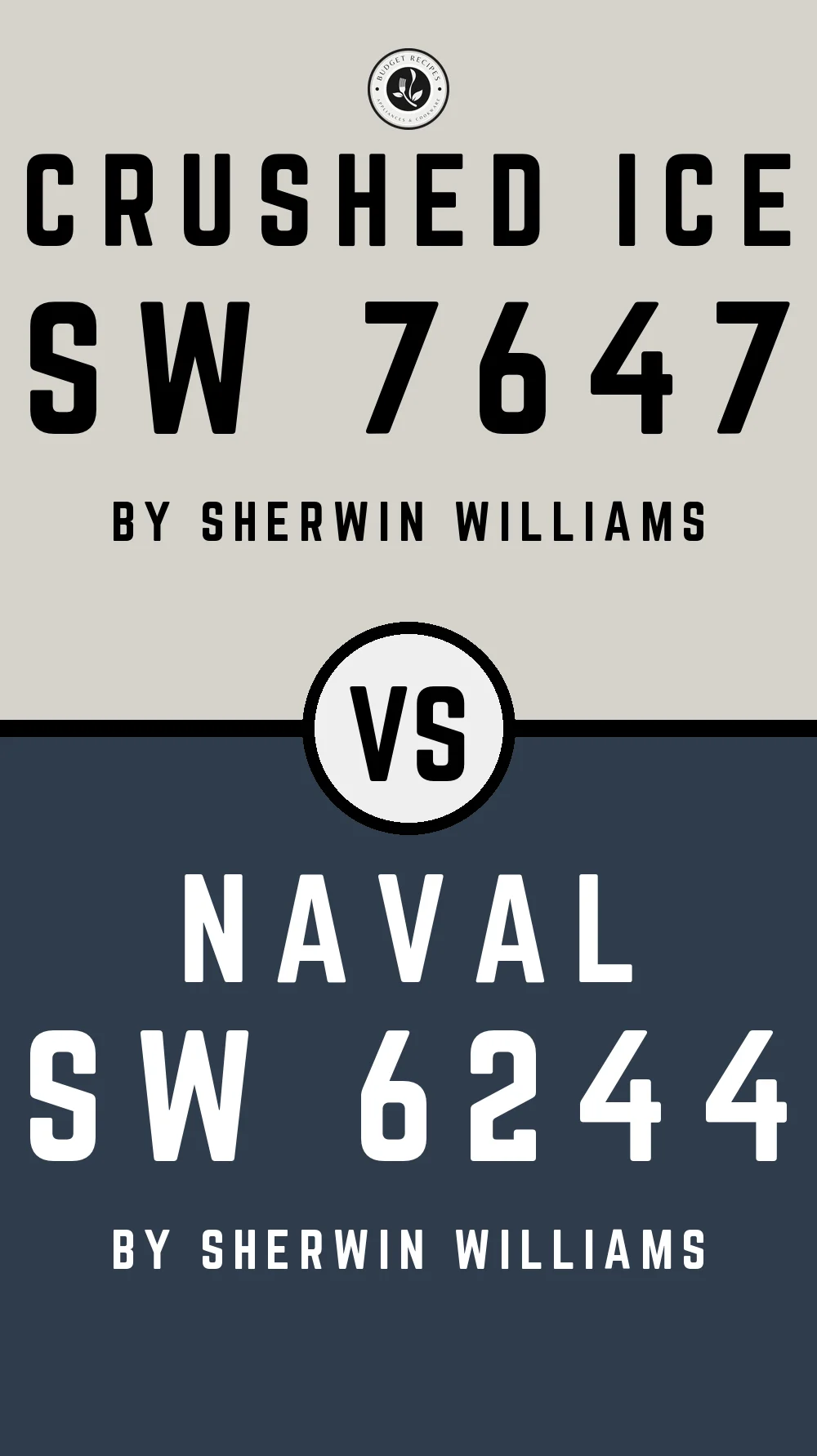 Crushed Ice by Sherwin Williams SW 7647 with Naval SW 6244