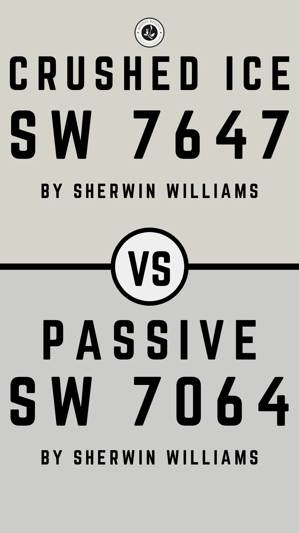 Crushed Ice by Sherwin Williams SW 7647 vs Passive SW 7064