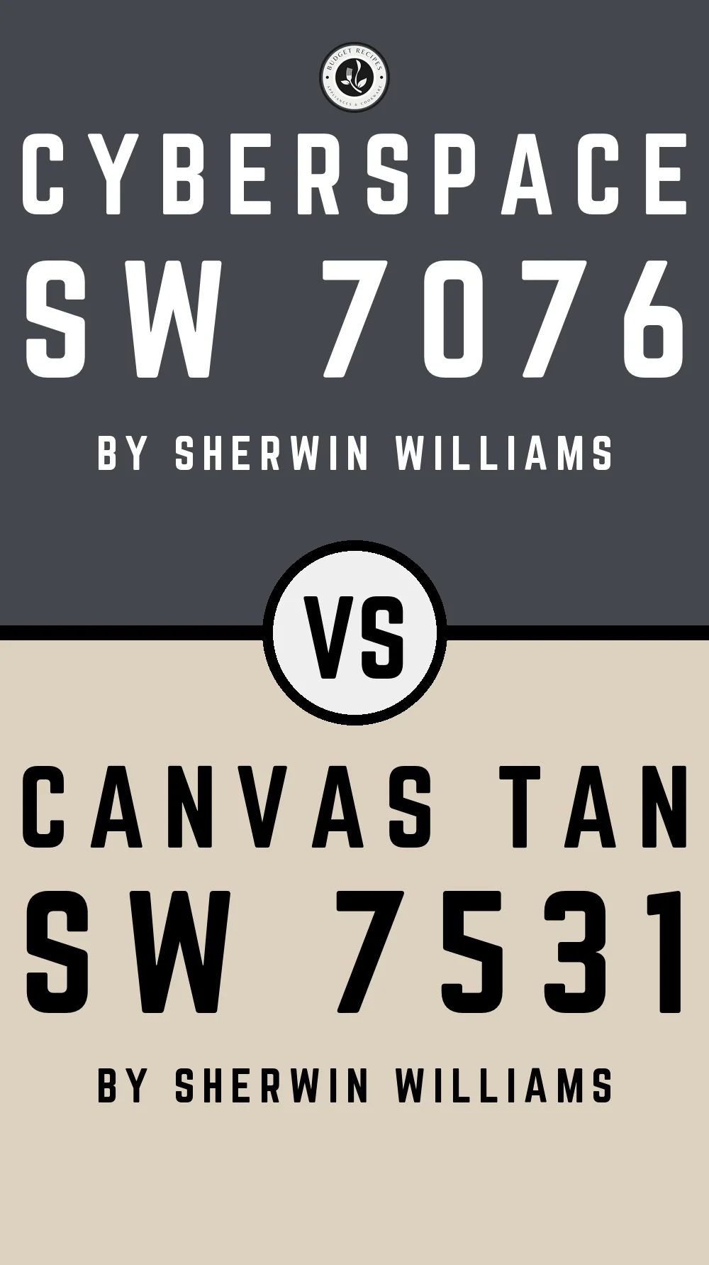 Cyberspace by Sherwin Williams SW 7076 with Canvas Tan SW 7531