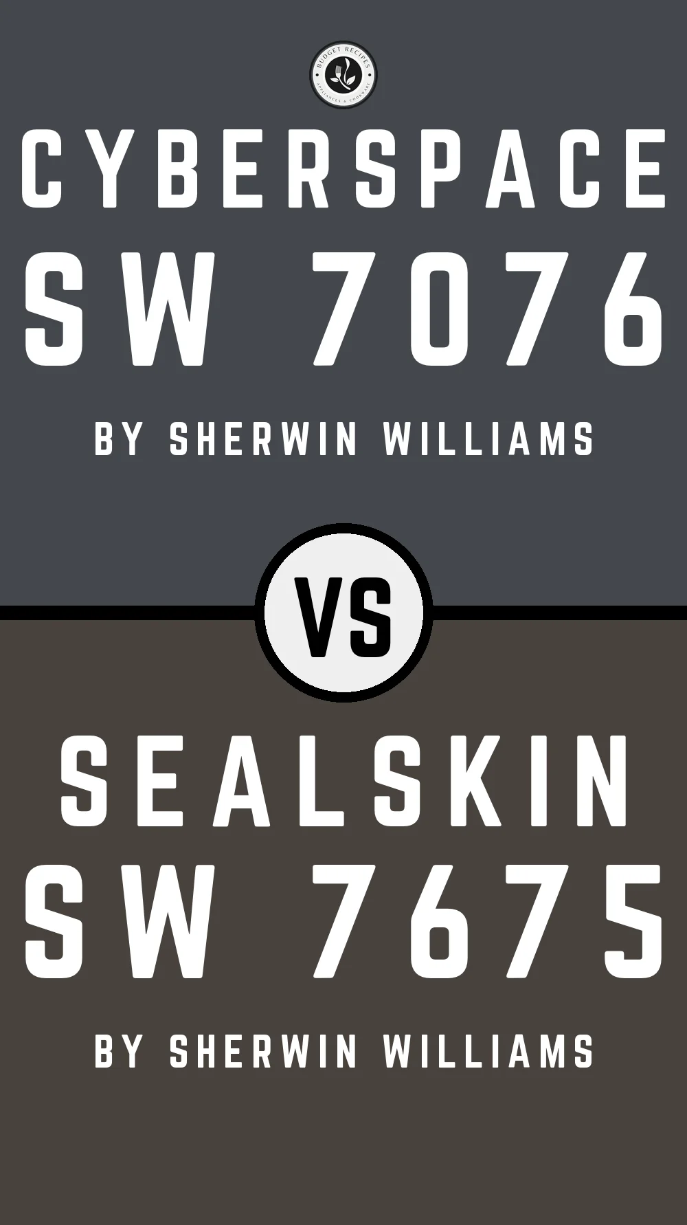 Cyberspace by Sherwin Williams SW 7076 vs Sealskin SW 7675