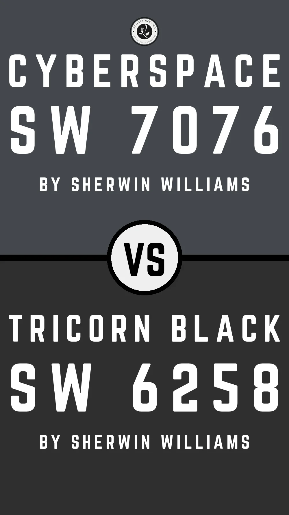 Cyberspace by Sherwin Williams SW 7076 vs Tricorn Black SW 6258