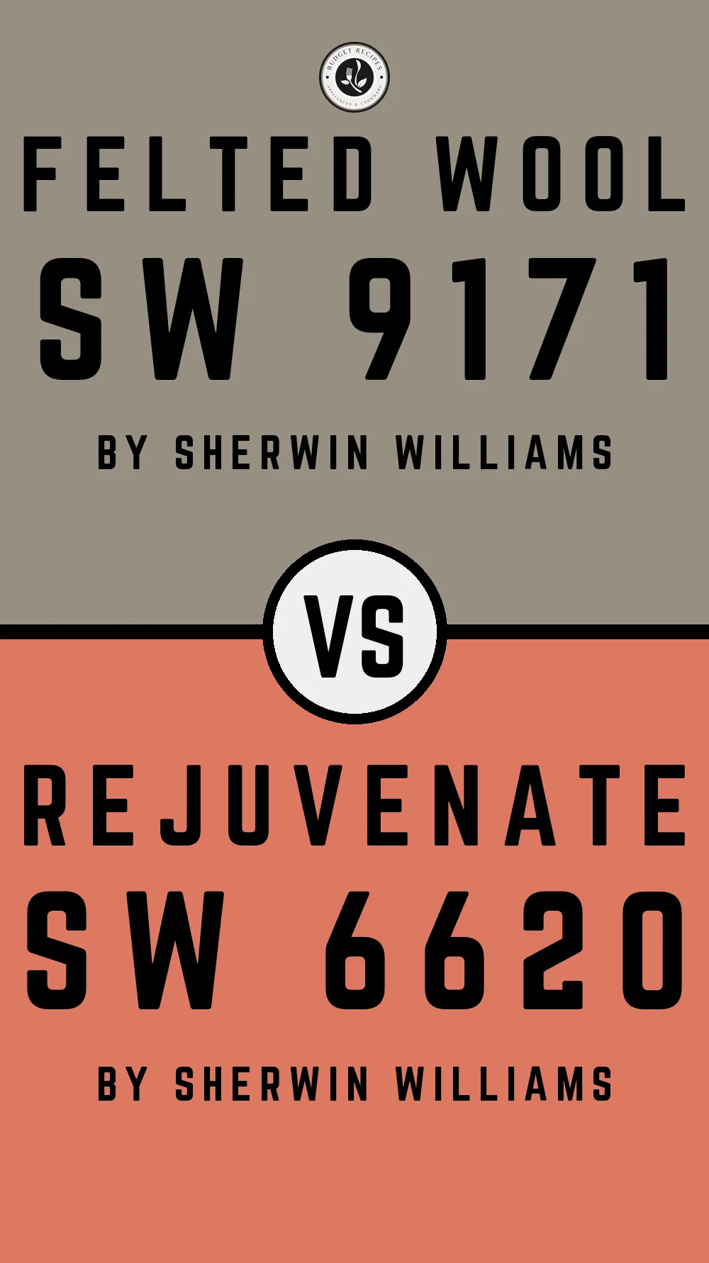 Felted Wool by Sherwin Williams SW 9171 with Rejuvenate SW 6620