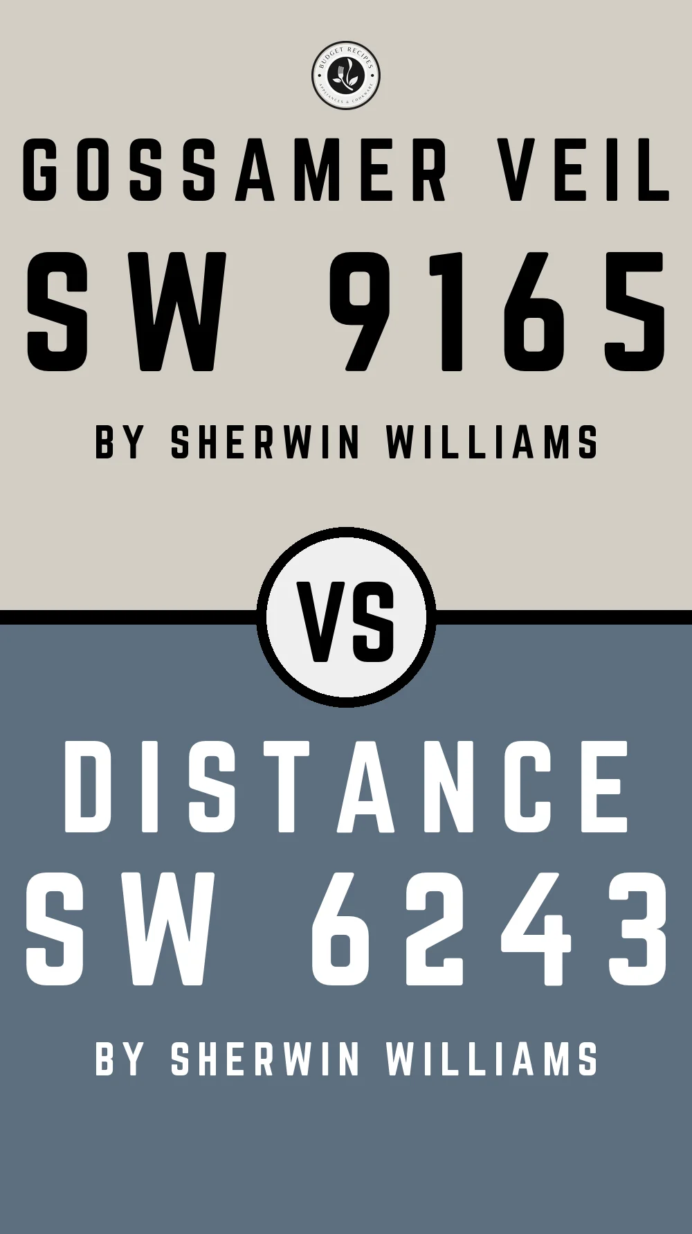 Gossamer Veil by Sherwin Williams SW 9165 with Distance SW 6243