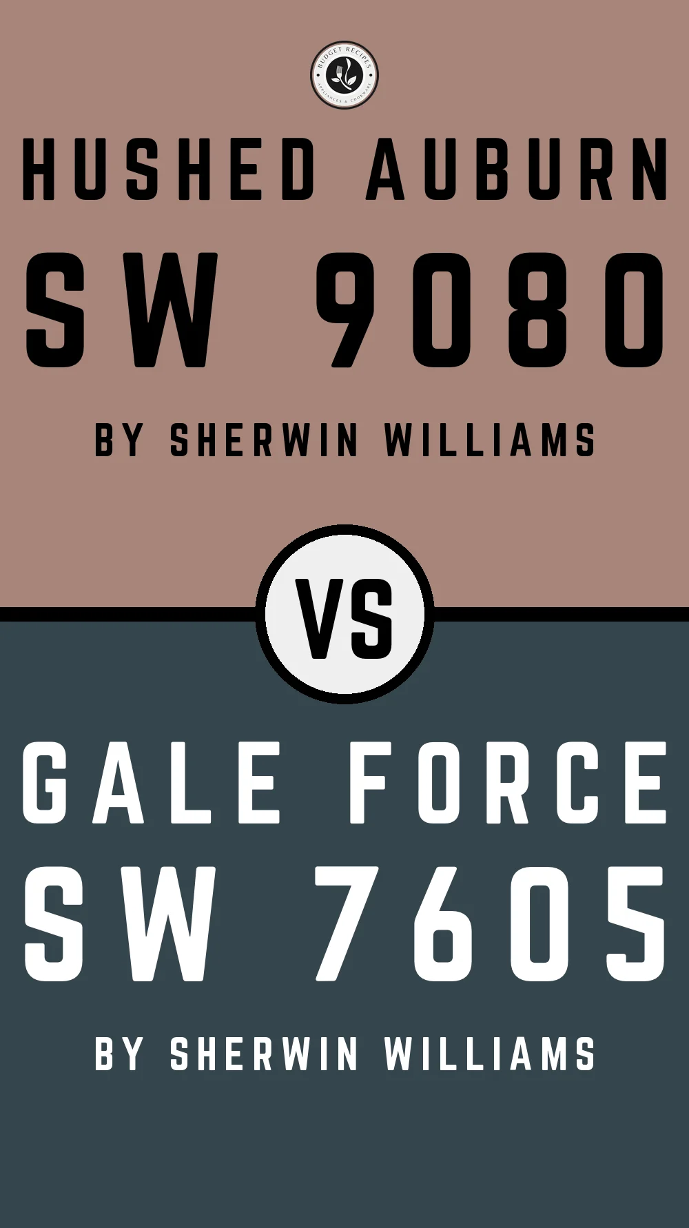 Hushed Auburn by Sherwin Williams SW 9080 with Gale Force SW 7605