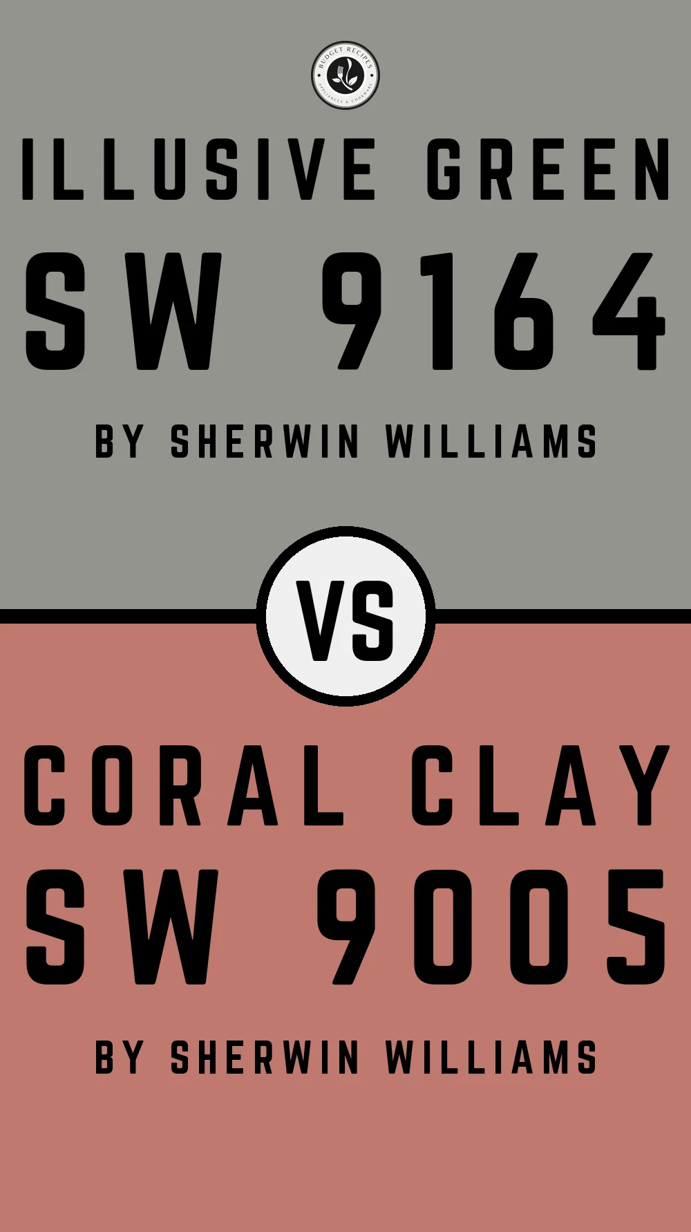 Illusive Green by Sherwin Williams SW 9164 with Coral Clay SW 9005