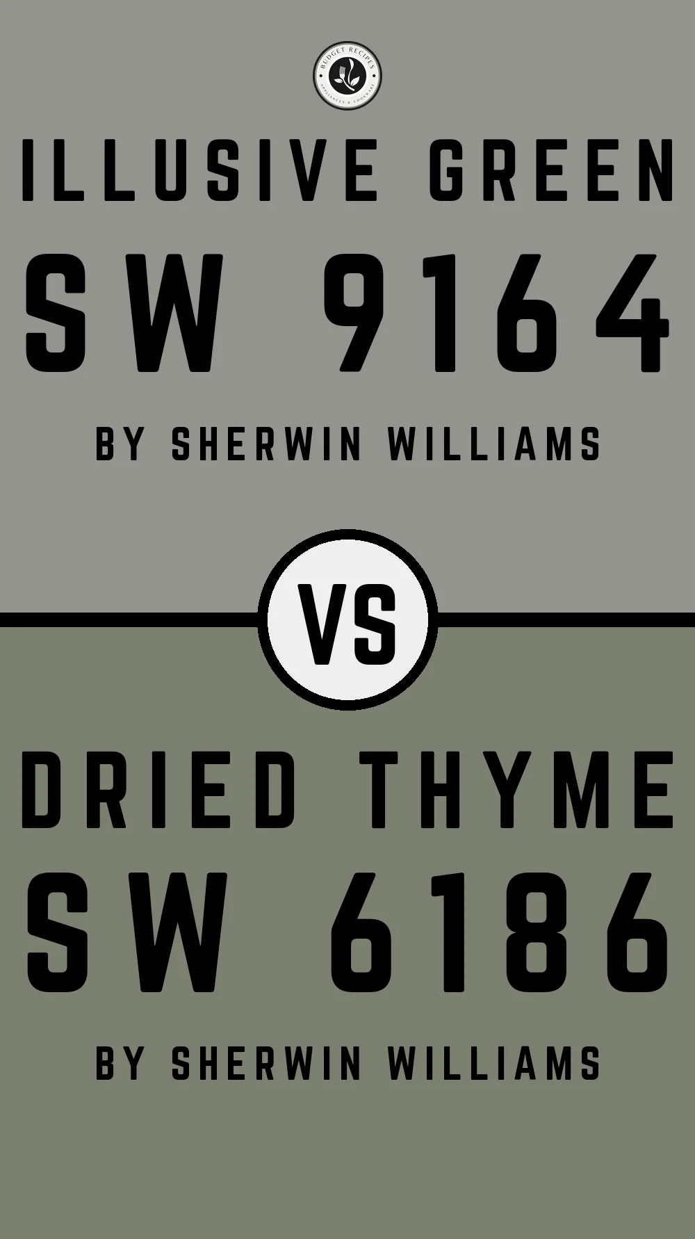 Illusive Green by Sherwin Williams SW 9164 vs Dried Thyme SW 6186