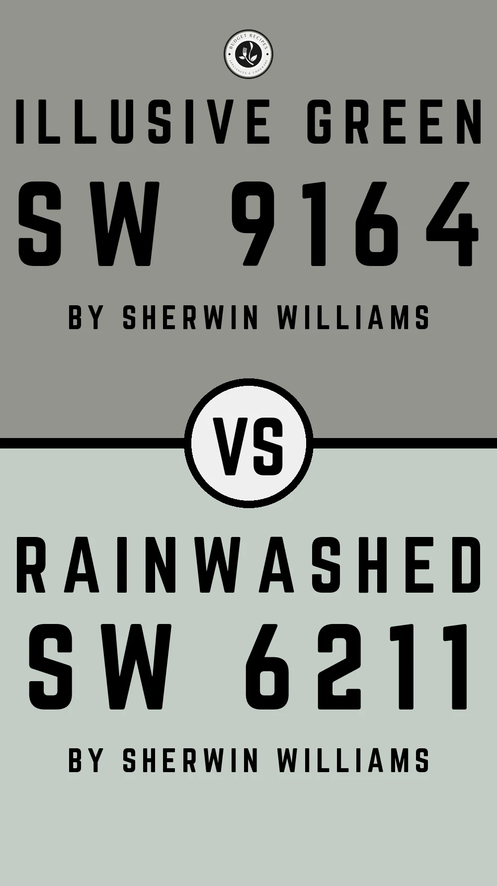 Illusive Green by Sherwin Williams SW 9164 with Rainwashed SW 6211