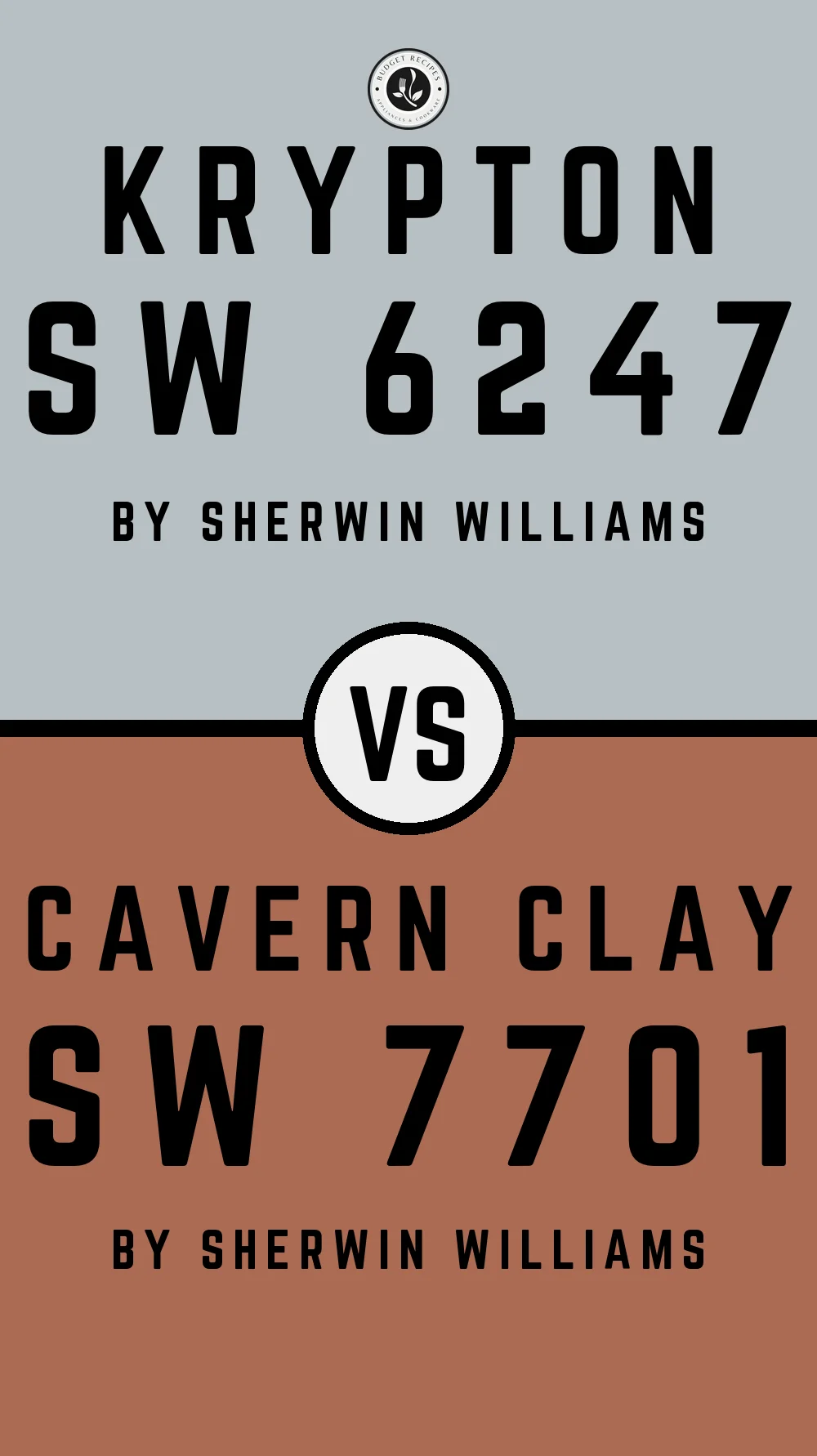 Krypton by Sherwin Williams SW 6247 With Cavern Clay SW 7701