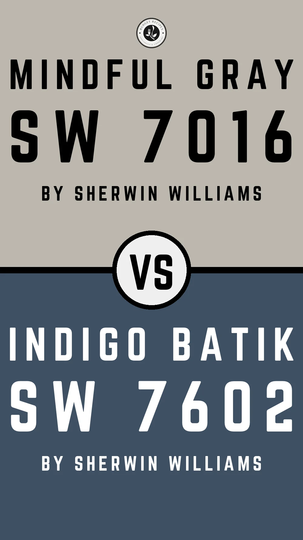 Mindful Gray by Sherwin Williams SW 7016 with Indigo Batik SW 7602