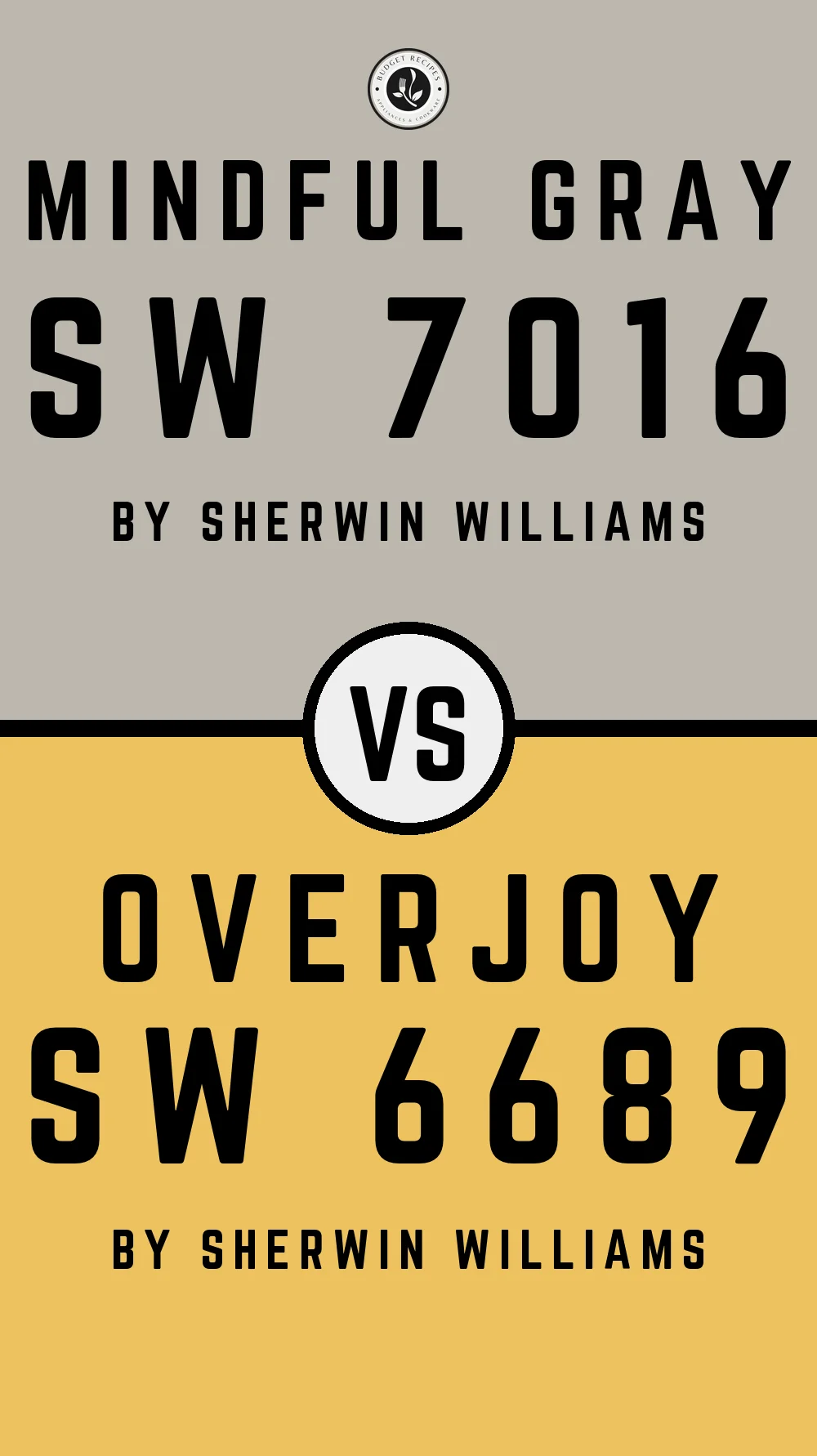 Mindful Gray by Sherwin Williams SW 7016 with Overjoy SW 6689