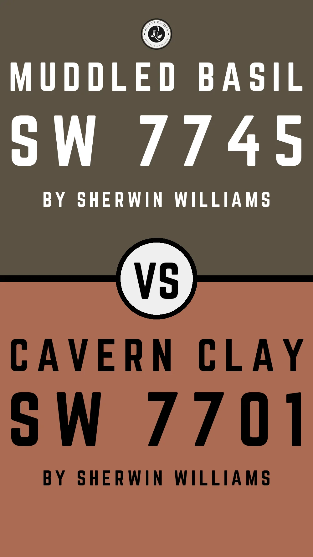 Muddled Basil by Sherwin Williams SW 7745 With Cavern Clay SW 7701