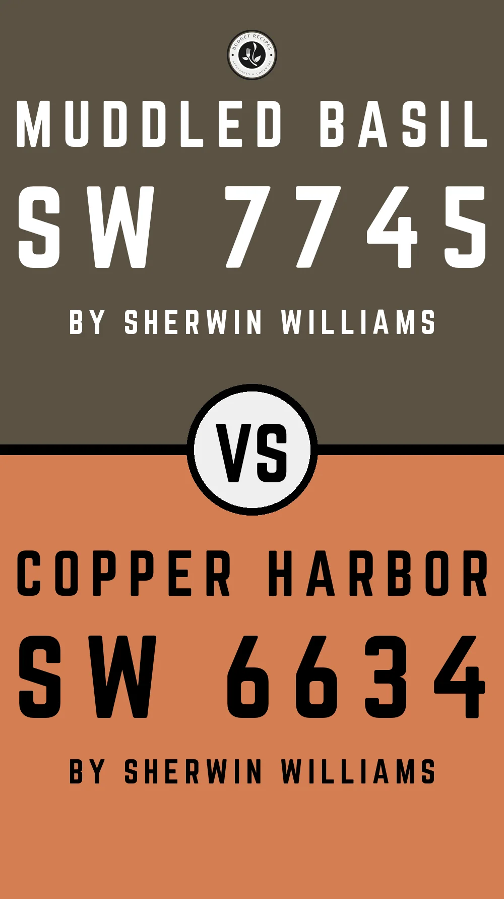 Muddled Basil by Sherwin Williams SW 7745 With Copper Harbor SW 6634