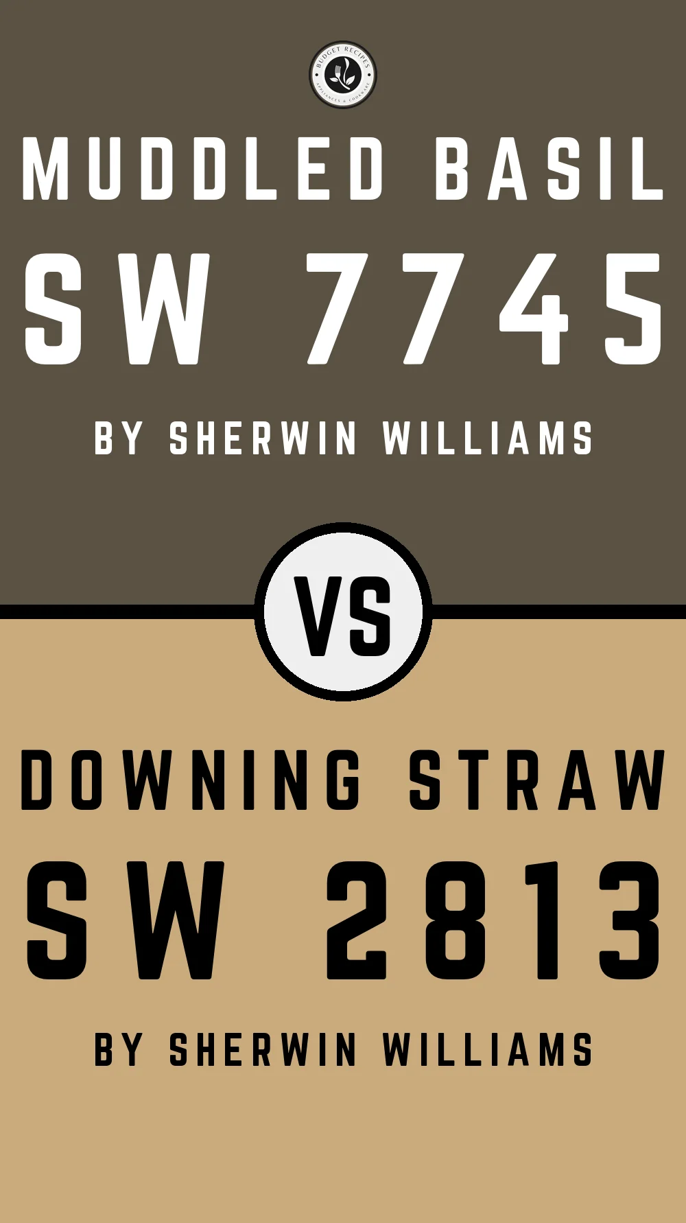 Muddled Basil by Sherwin Williams SW 7745 With Downing Straw SW 2813
