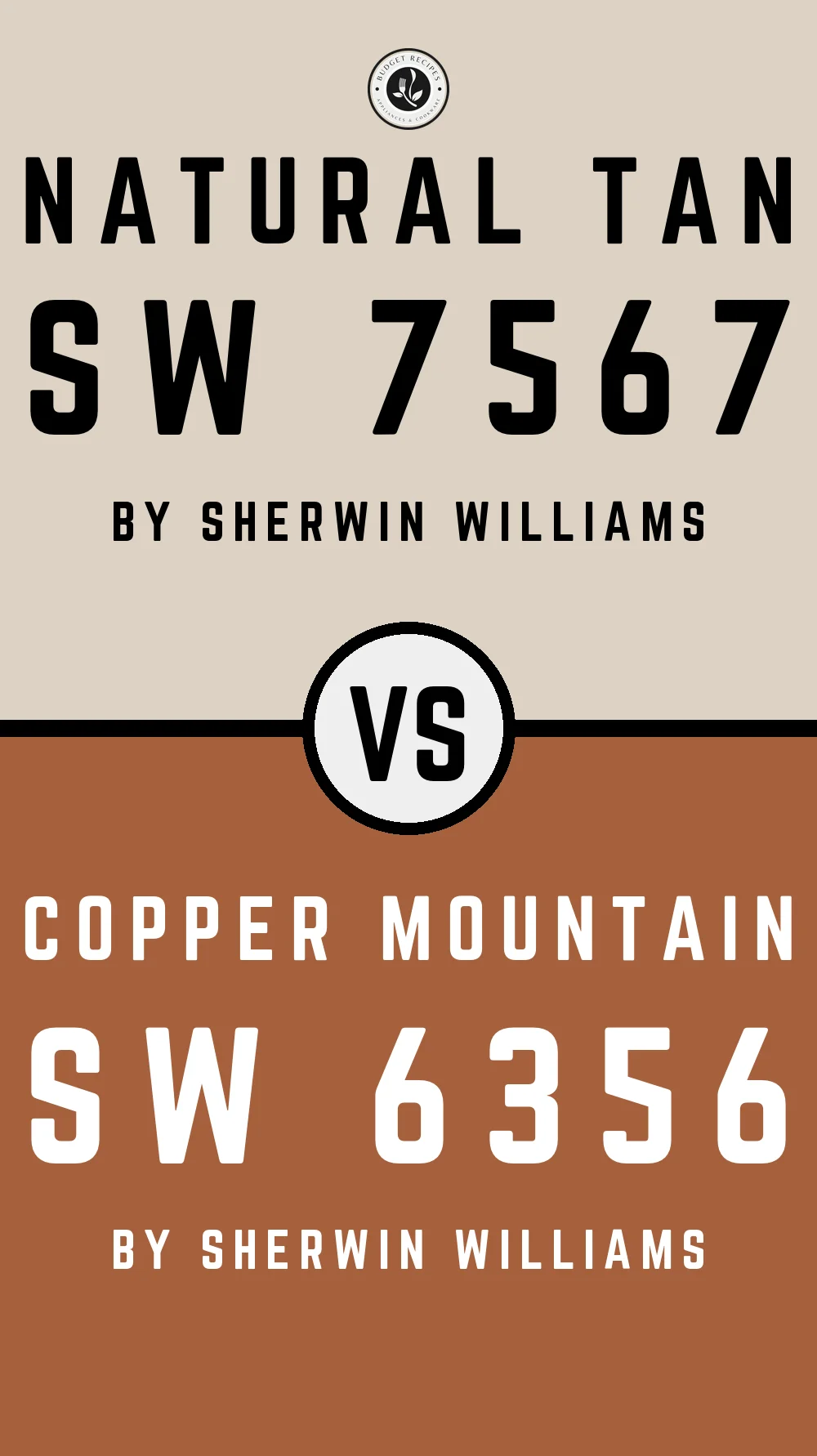 Natural Tan by Sherwin Williams SW 7567 With Copper Mountain SW 6356