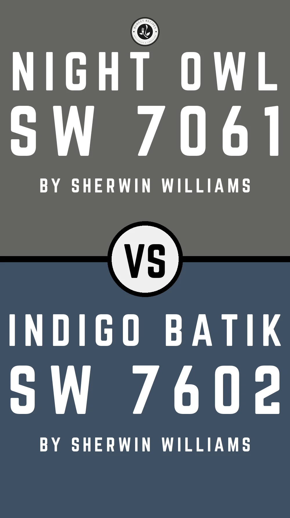Night Owl by Sherwin Williams SW 7061 with Indigo Batik SW 7602