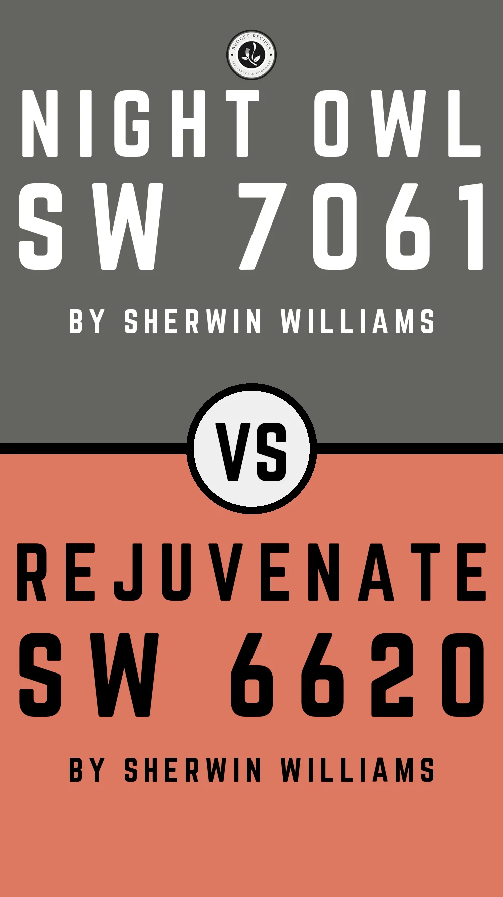 Night Owl by Sherwin Williams SW 7061 with Rejuvenate SW 6620