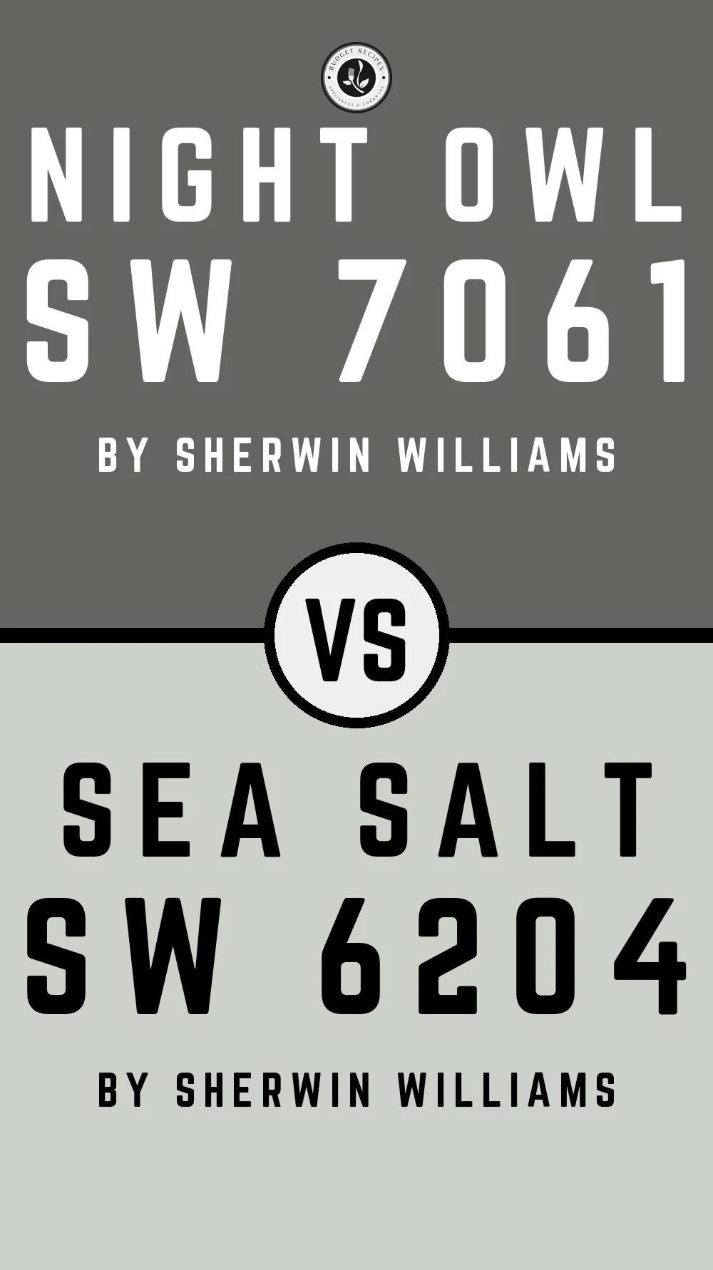 Night Owl by Sherwin Williams SW 7061 vs Sea Salt SW 6204
