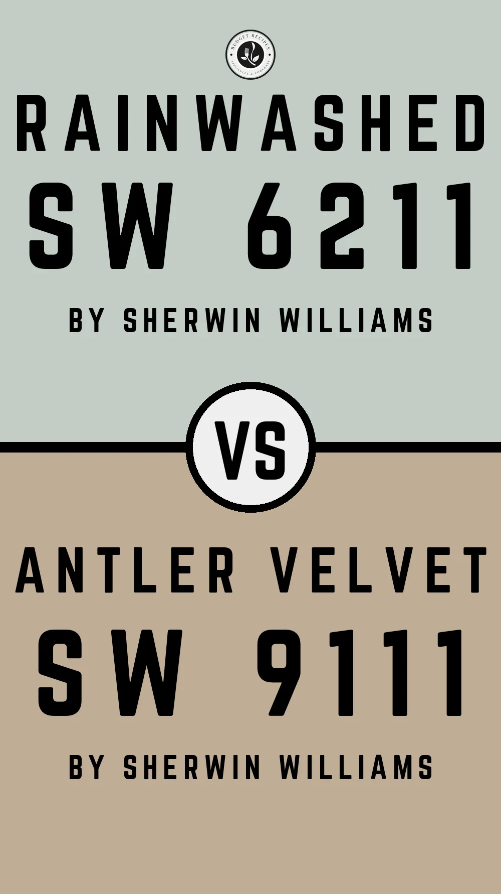 Rainwashed by Sherwin Williams SW 6211 with Antler Velvet SW 9111
