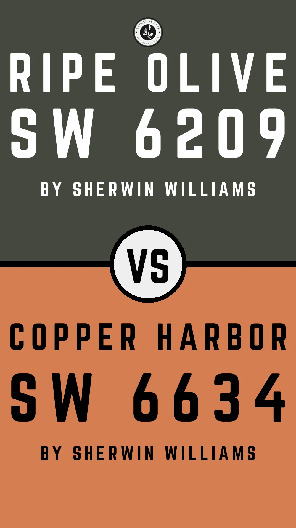 Ripe Olive by Sherwin Williams SW 6209 With Copper Harbor SW 6634