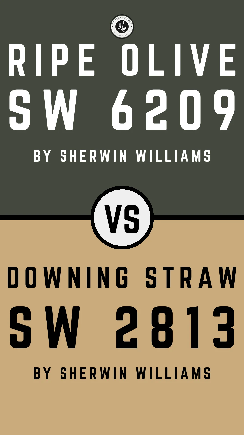 Ripe Olive by Sherwin Williams SW 6209 With Downing Straw SW 2813