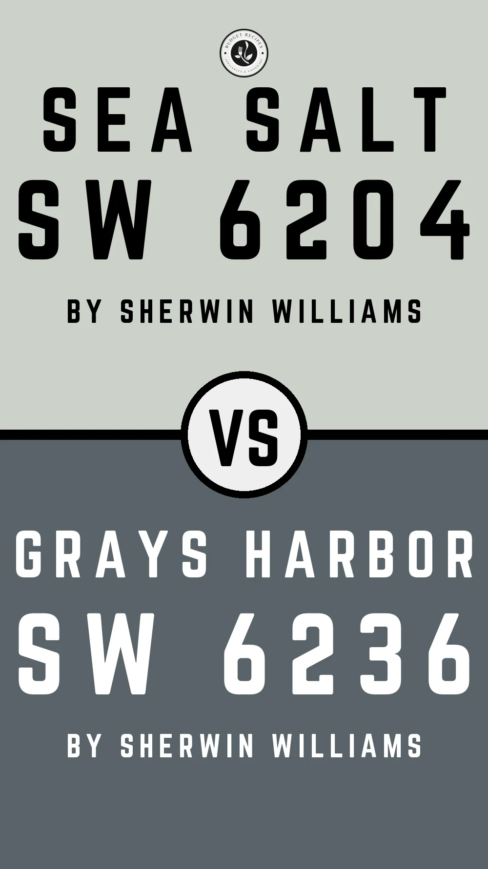 Sea Salt by Sherwin Williams SW 6204 with Grays Harbor SW 6236