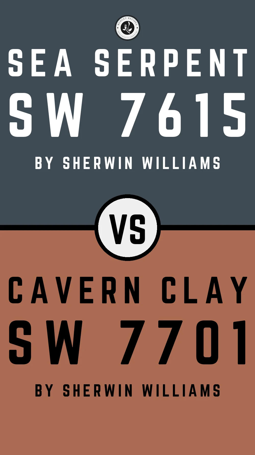 Sea Serpent by Sherwin Williams SW 7615 with Cavern Clay SW 7701