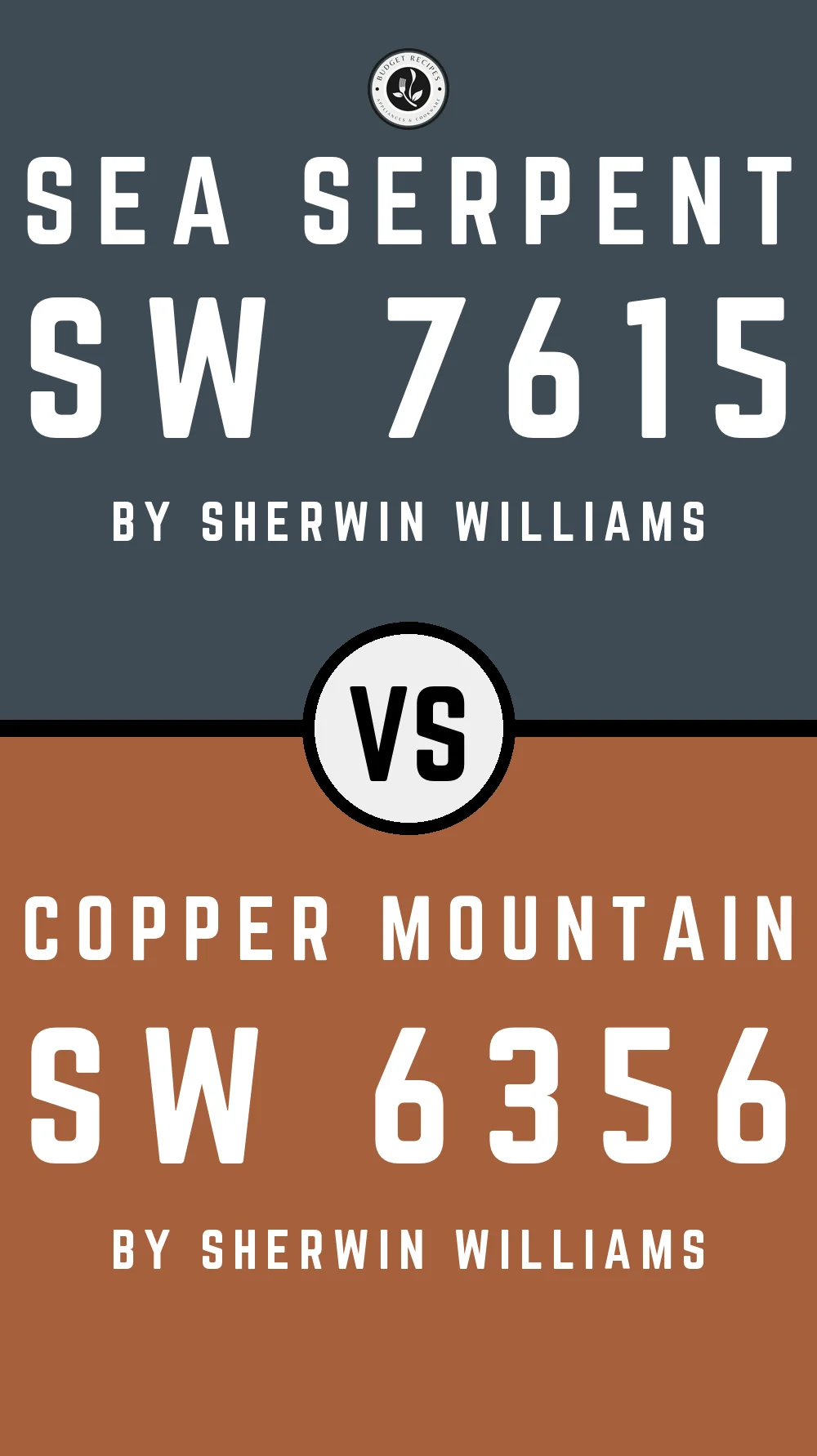 Sea Serpent by Sherwin Williams SW 7615 with Copper Mountain SW 6356