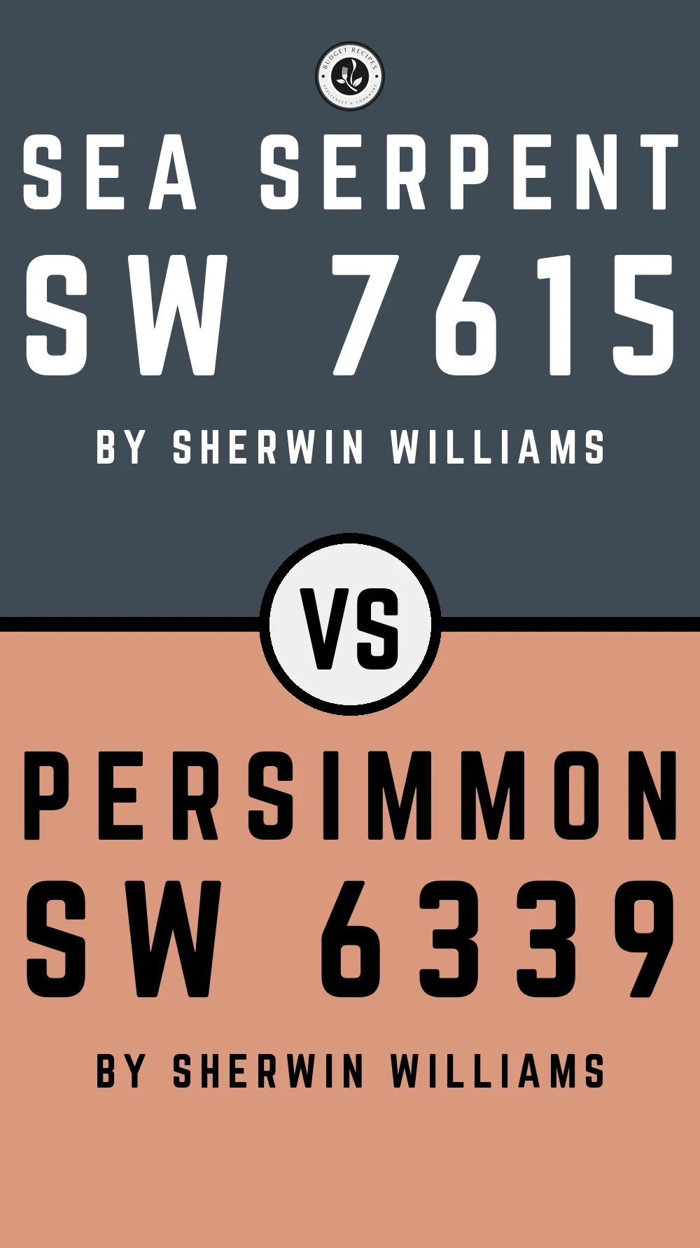 Sea Serpent by Sherwin Williams SW 7615 with Persimmon SW 6339