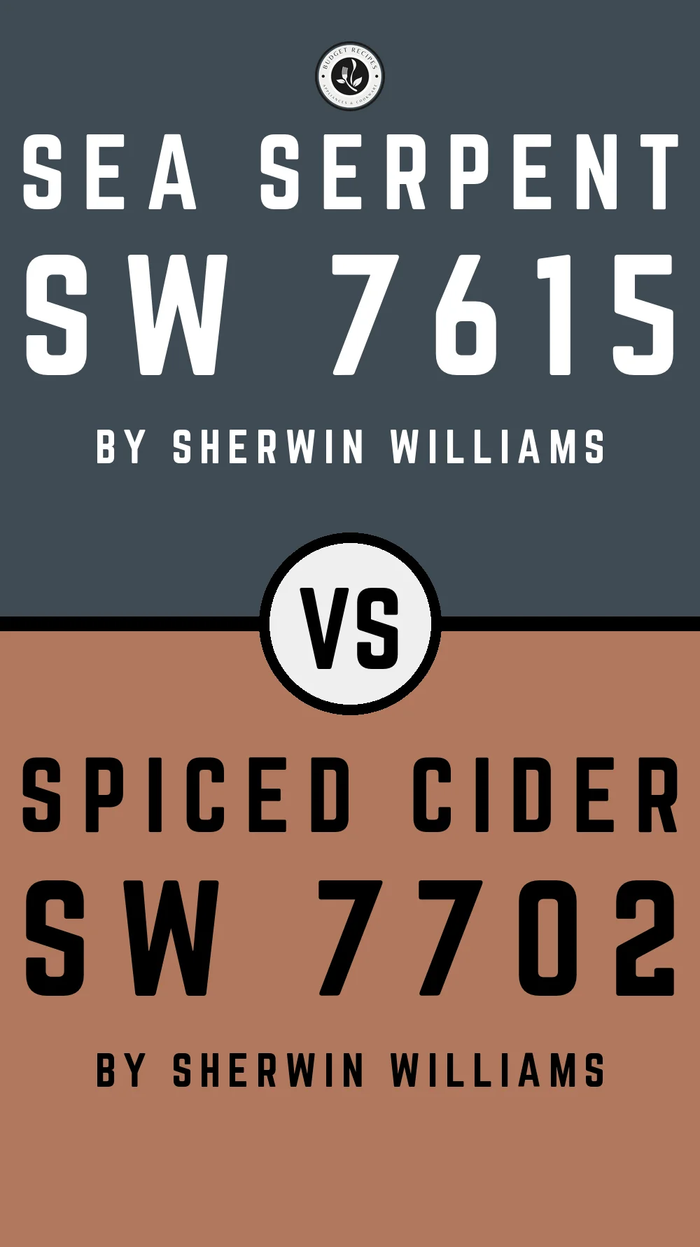 Sea Serpent by Sherwin Williams SW 7615 with Spiced Cider SW 7702