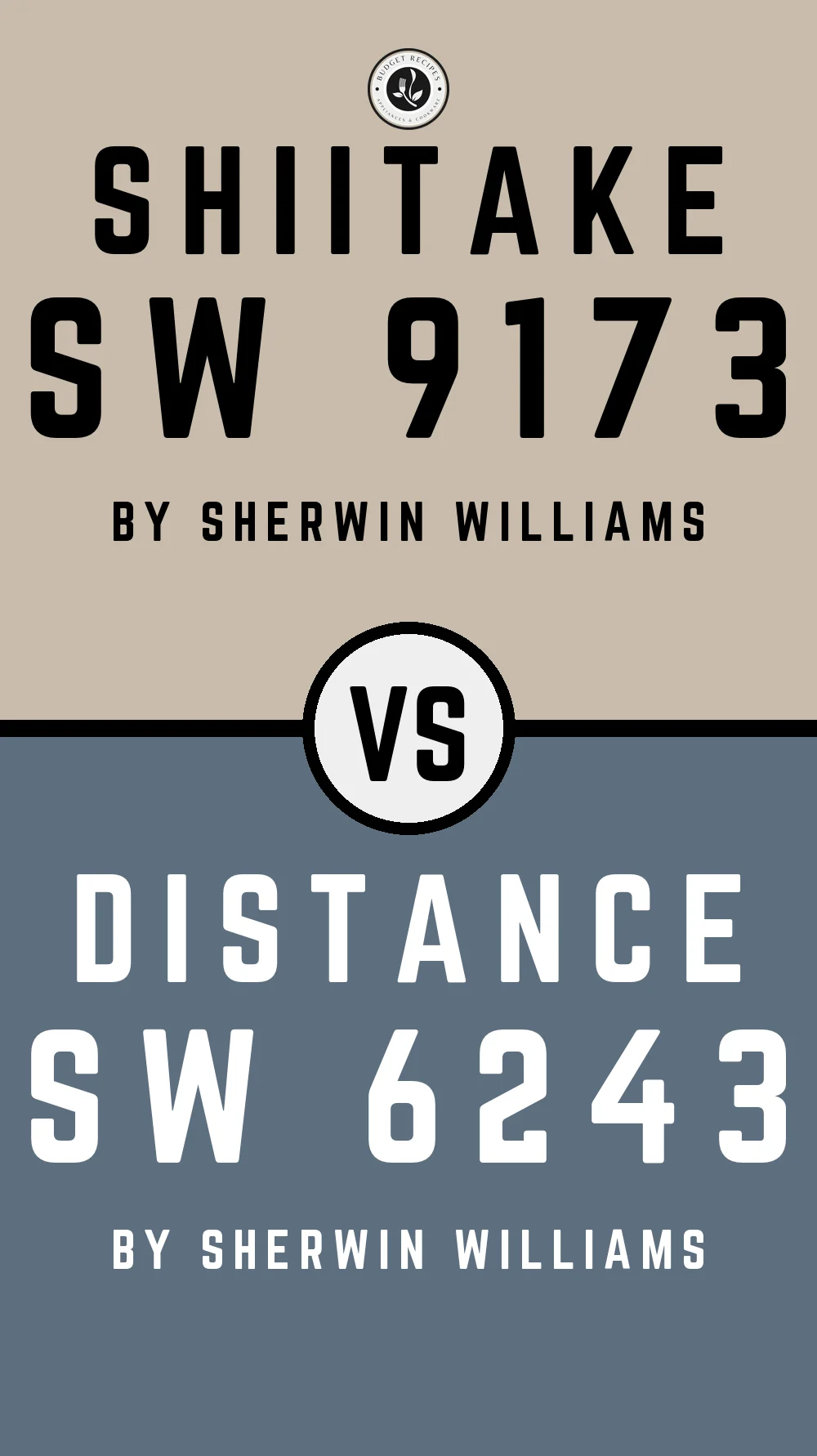 Shiitake by Sherwin Williams SW 9173 with Distance SW 6243