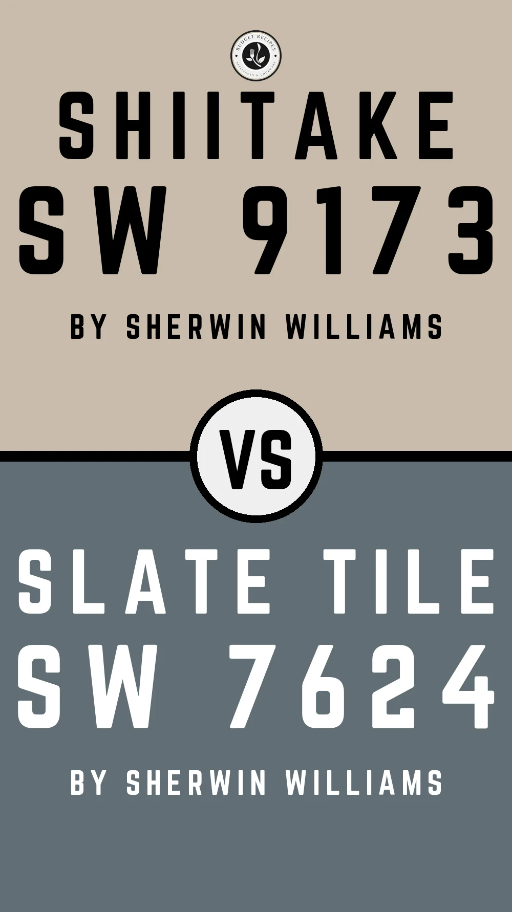 Shiitake by Sherwin Williams SW 9173 with Slate Tile SW 7624