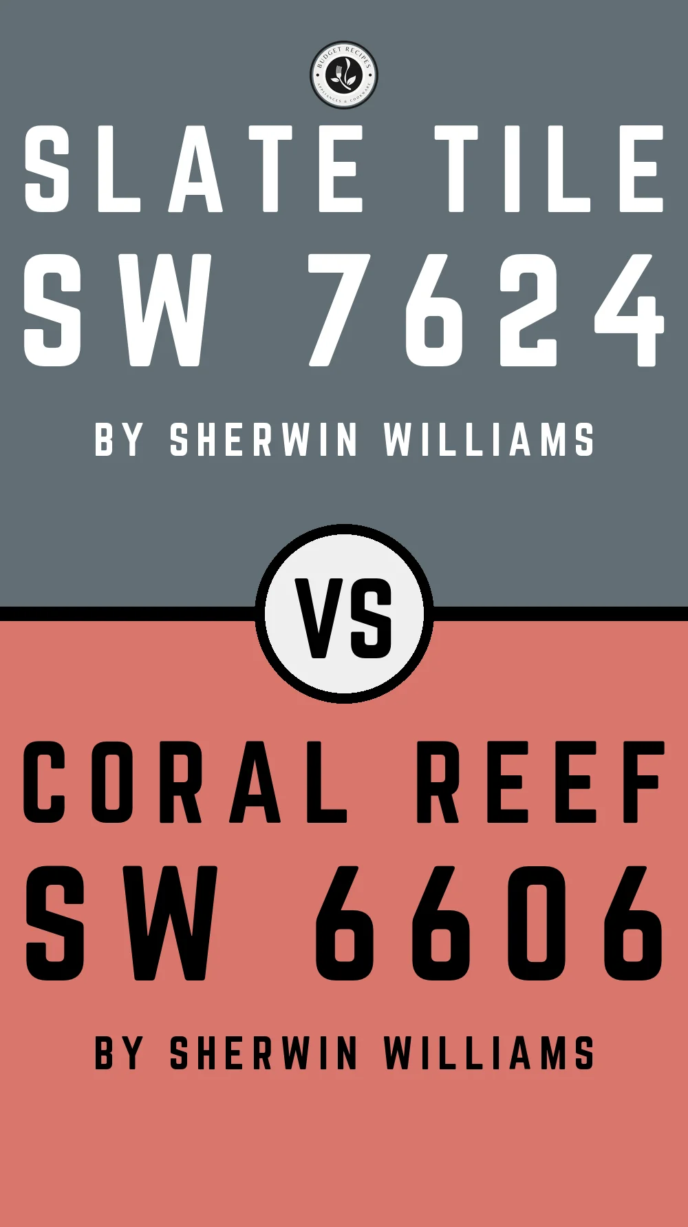 Slate Tile by Sherwin Williams SW 7624 with Coral Reef SW 6606