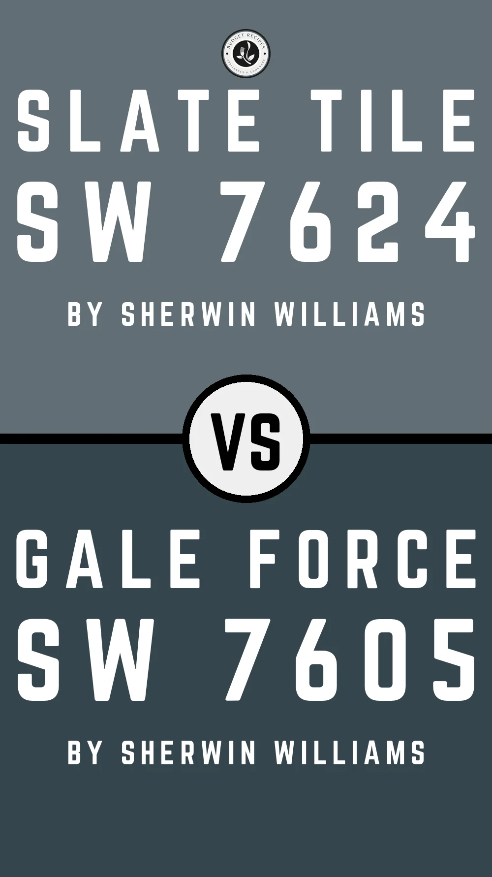 Slate Tile by Sherwin Williams SW 7624 vs Gale Force SW 7605