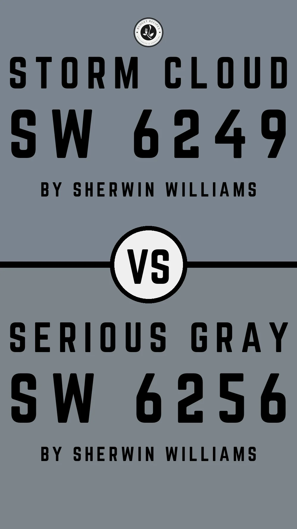 Storm Cloud by Sherwin Williams SW 6249 vs Serious Gray SW 6256