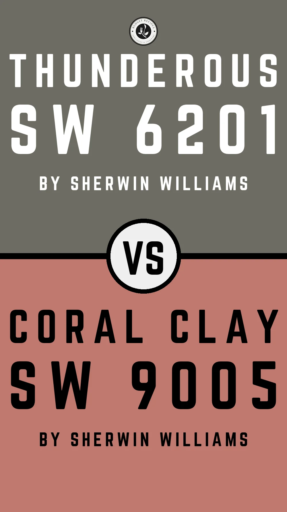 Thunderous by Sherwin Williams SW 6201 With Coral Clay SW 9005
