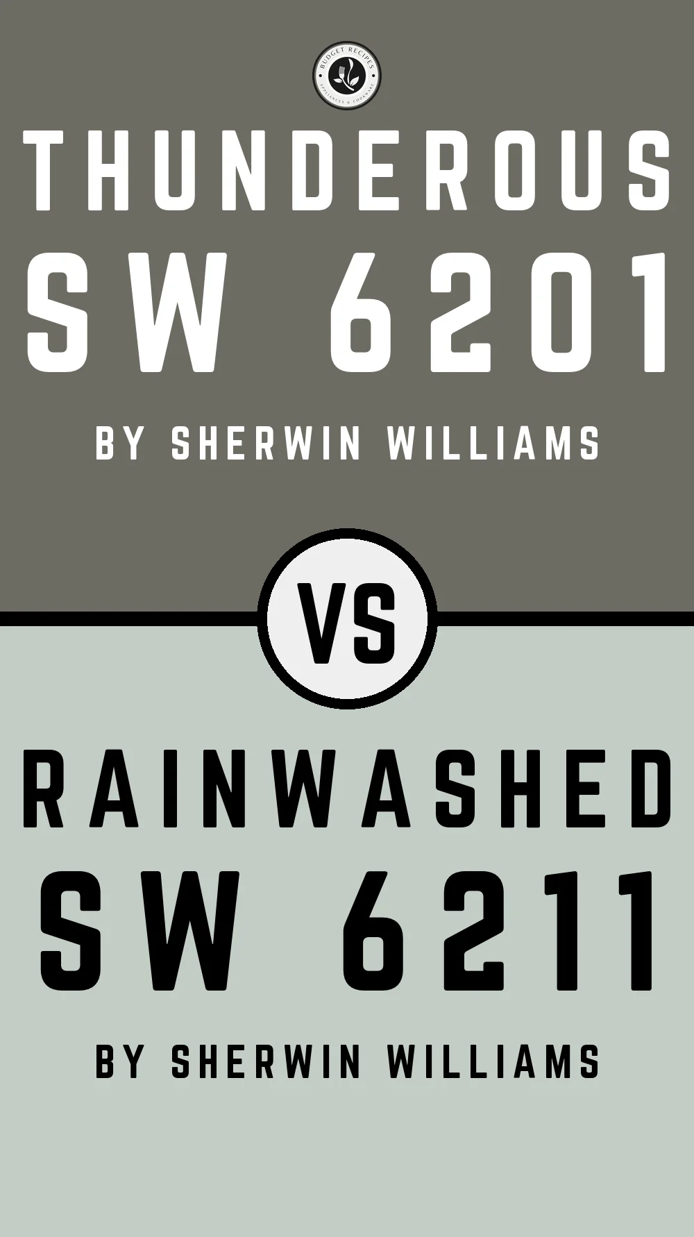 Thunderous by Sherwin Williams SW 6201 With Rainwashed SW 6211